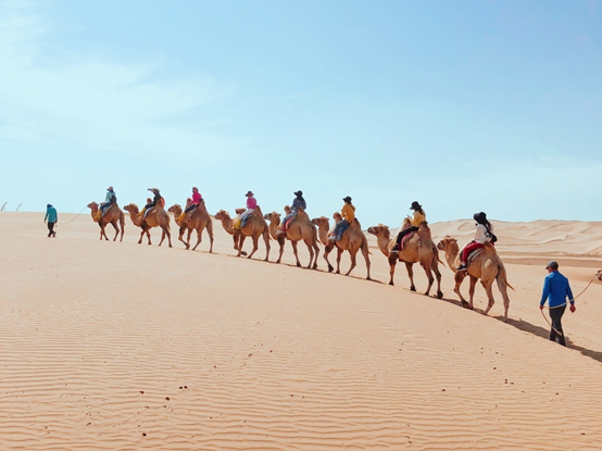 Appreciation of Nano Technology's 2019 Grassland Tour